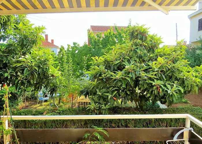 Sunny Side * Задар